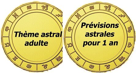 Thème astral adulte + prévisions astrales/1an